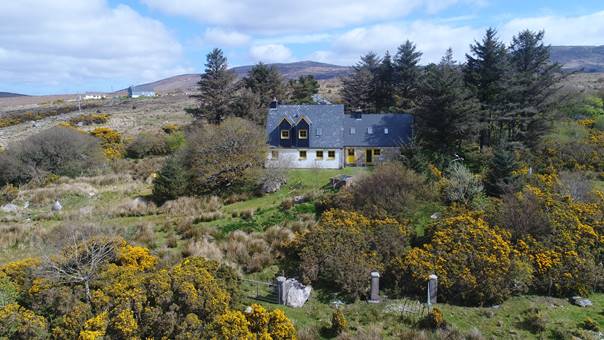 Pferderanch-immobilie in Irland kaufen