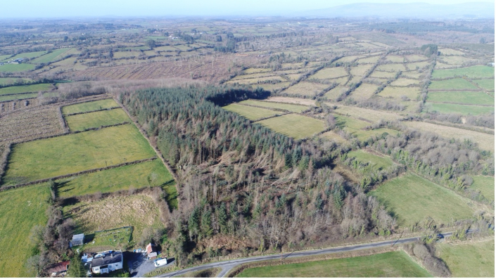 grundstueck-irland-kaufen-406-jb-fy-1